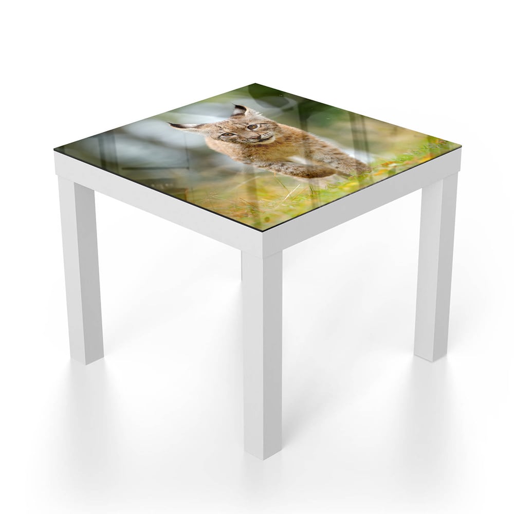 Salontafel 55x55 - Gehard Glas - Jonge Lynx