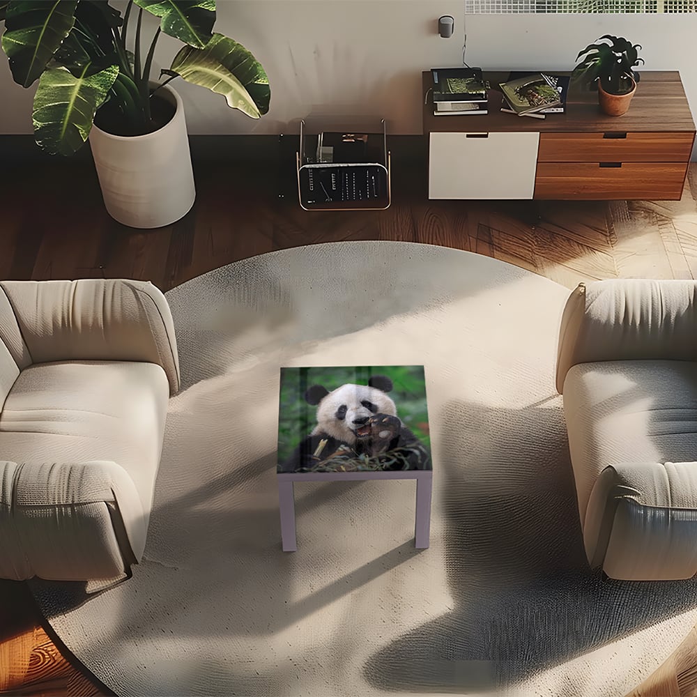 Salontafel 55x55 - Gehard Glas - Blije Panda