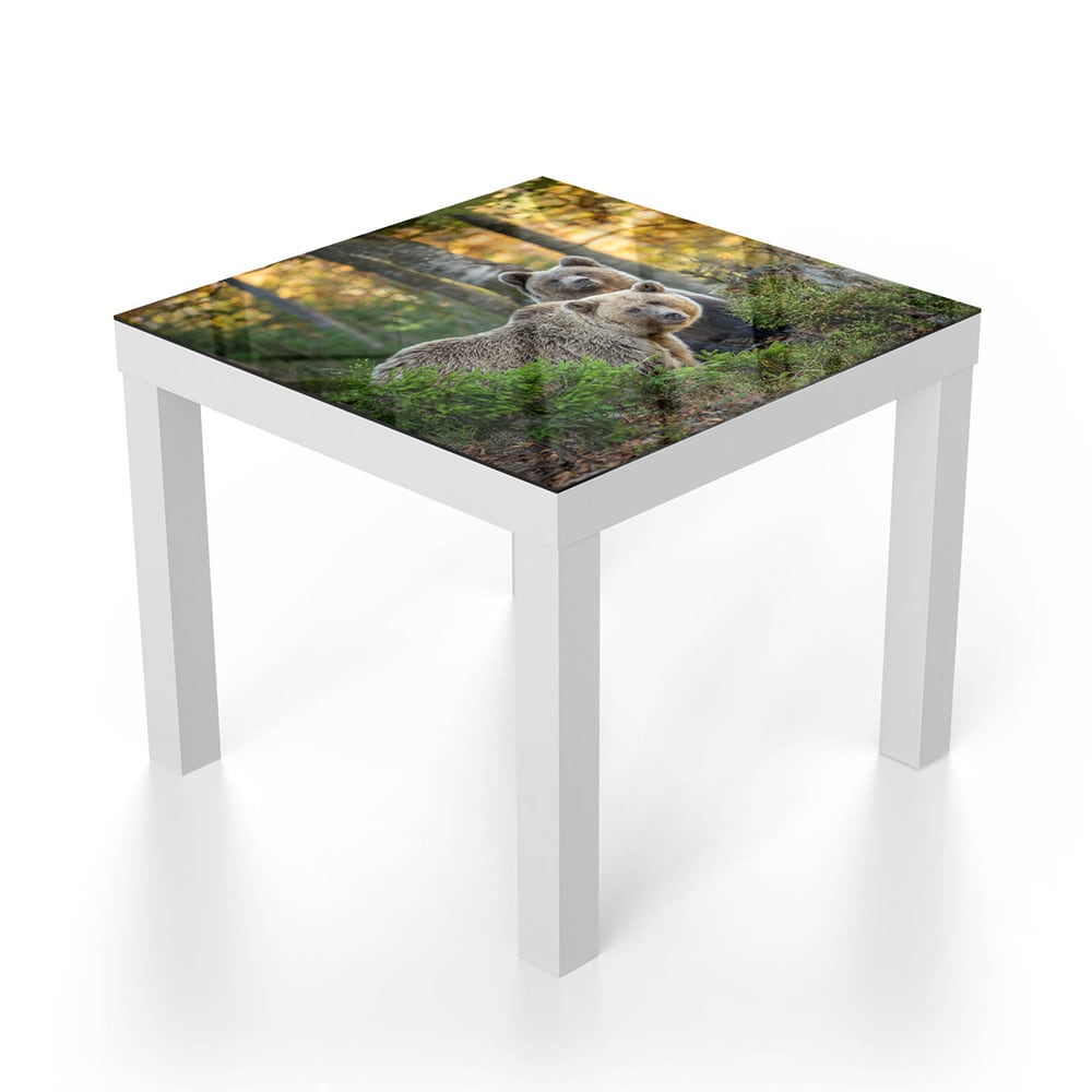 Salontafel 55x55 - Gehard Glas - Bruine Beren