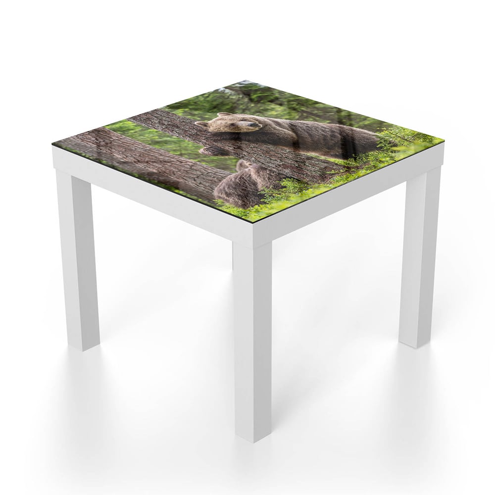 Salontafel 55x55 - Gehard Glas - Bruine Beren in het Bos