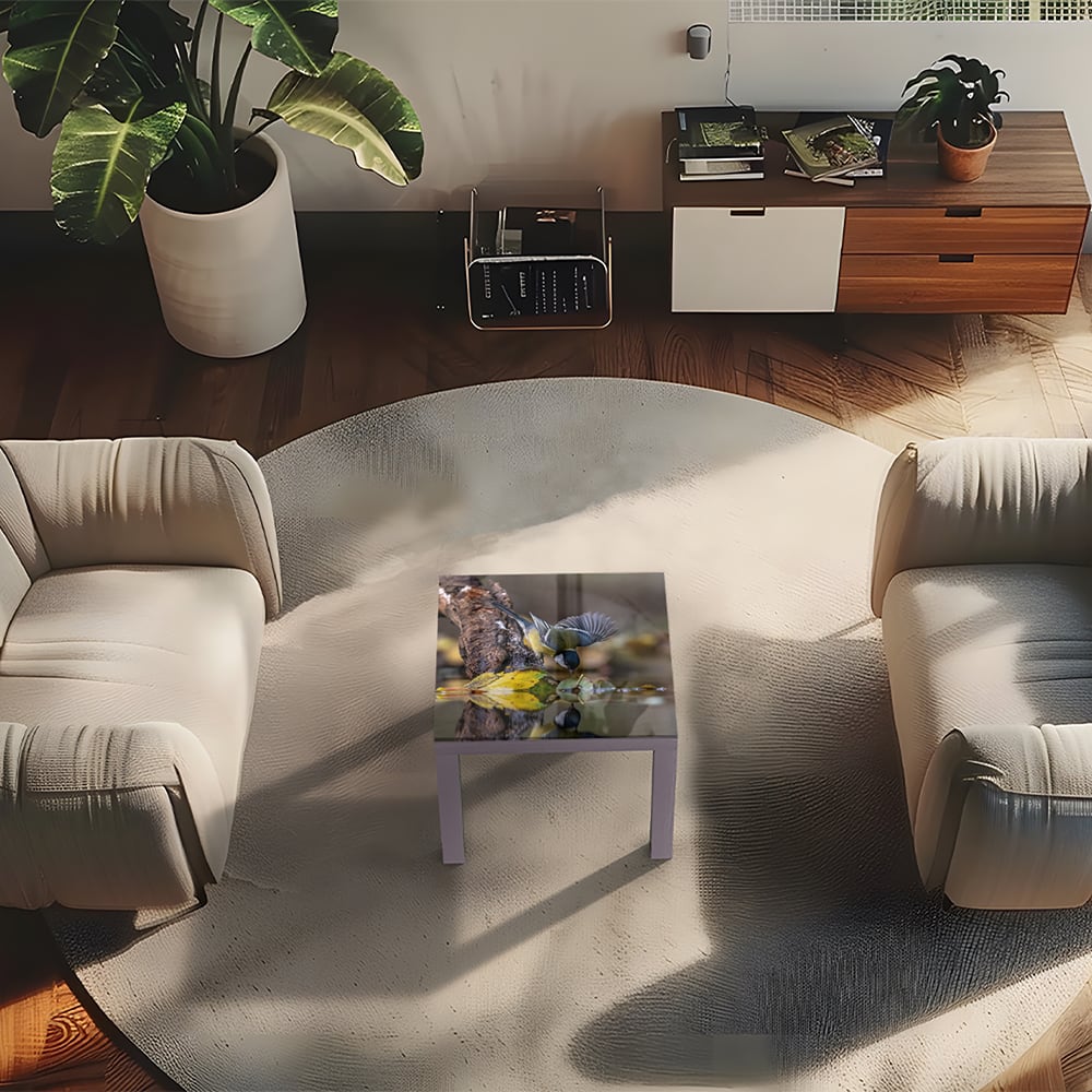 Salontafel 55x55 - Gehard Glas - Koolmeesje bij het water