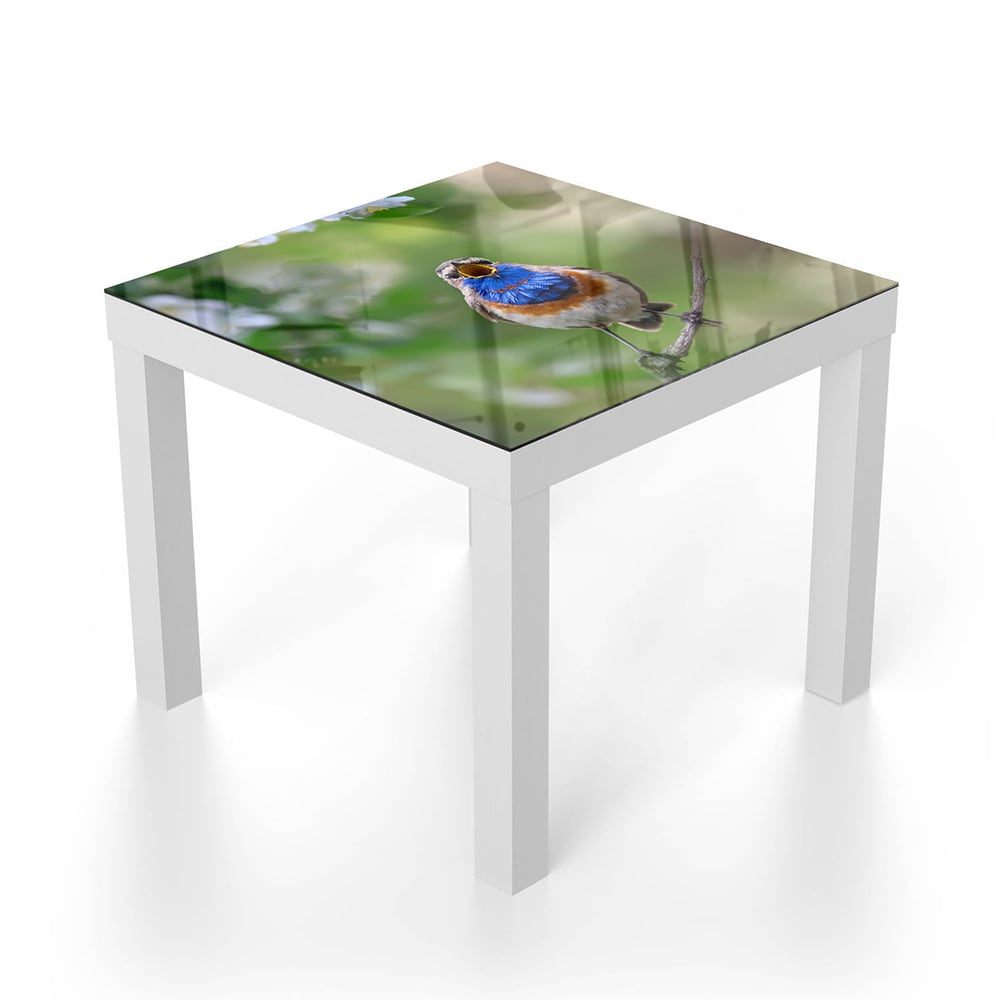 Salontafel 55x55 - Gehard Glas - Schattige Blauwborst