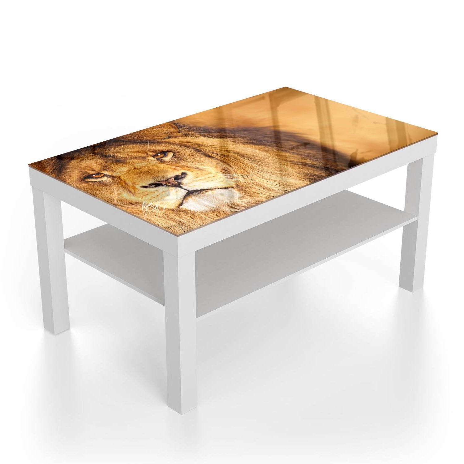 Salontafel 90x55 - Gehard Glas - Afrikaanse Leeuw