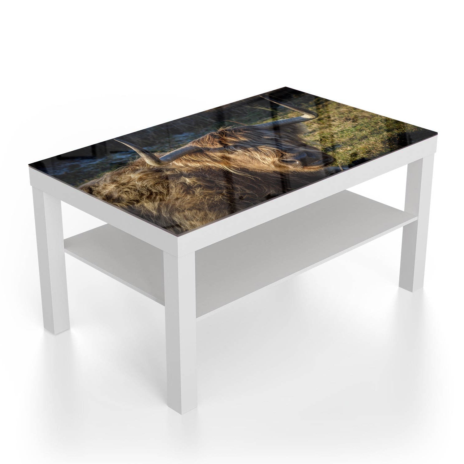 Salontafel 90x55 - Gehard Glas - Schotse Hooglander in de Zon