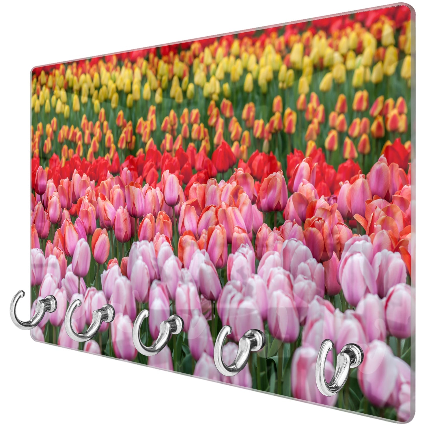 Sleutelhanger - Gehard Glas - Tulpenveld in Lisse