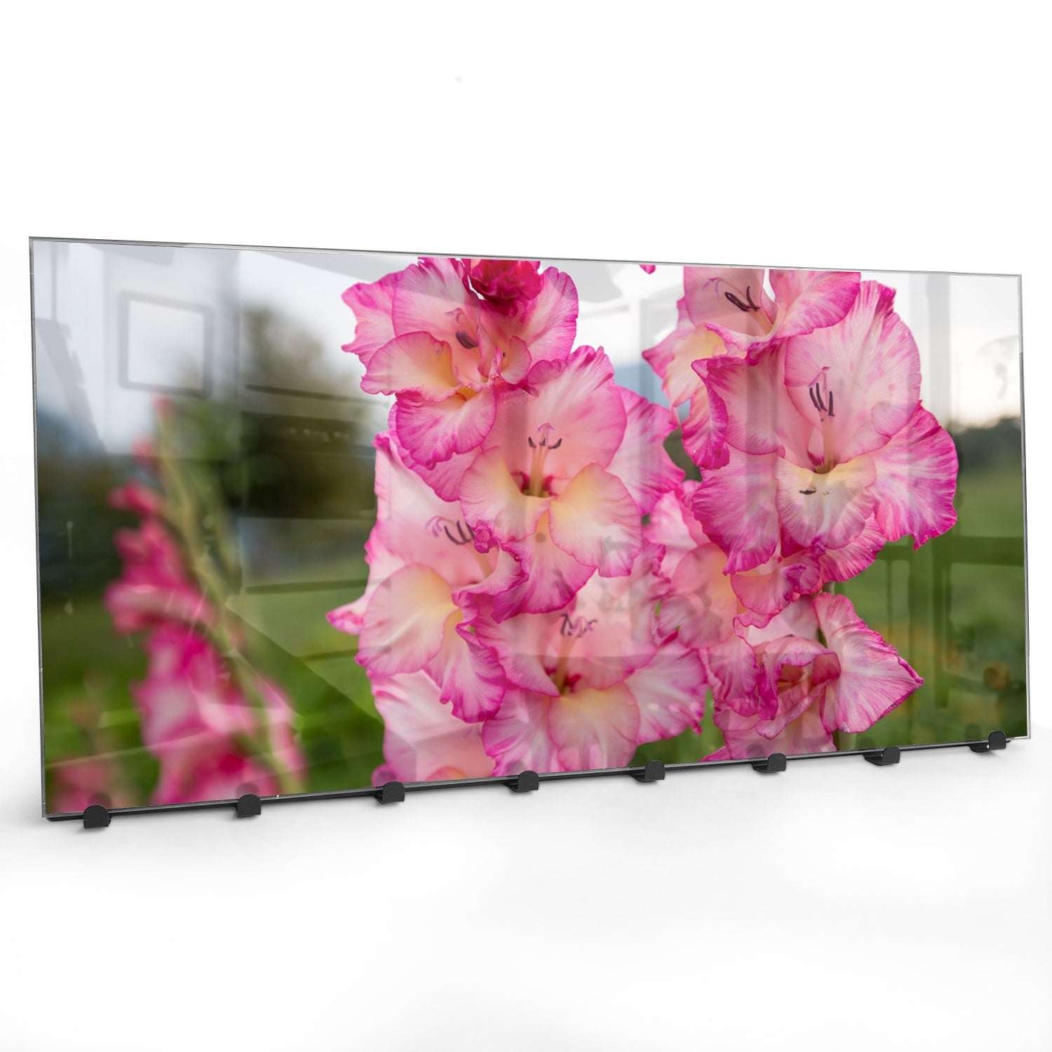 Kapstok - Gehard Glas - Roze Gladiolen