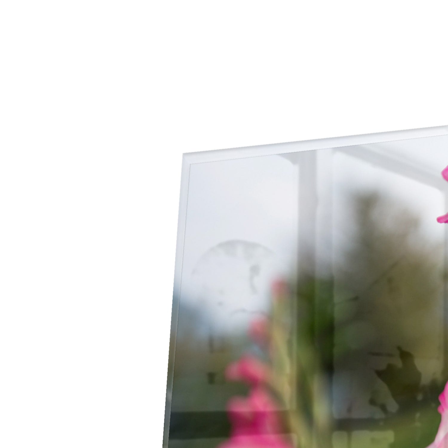 Kapstok - Gehard Glas - Roze Gladiolen