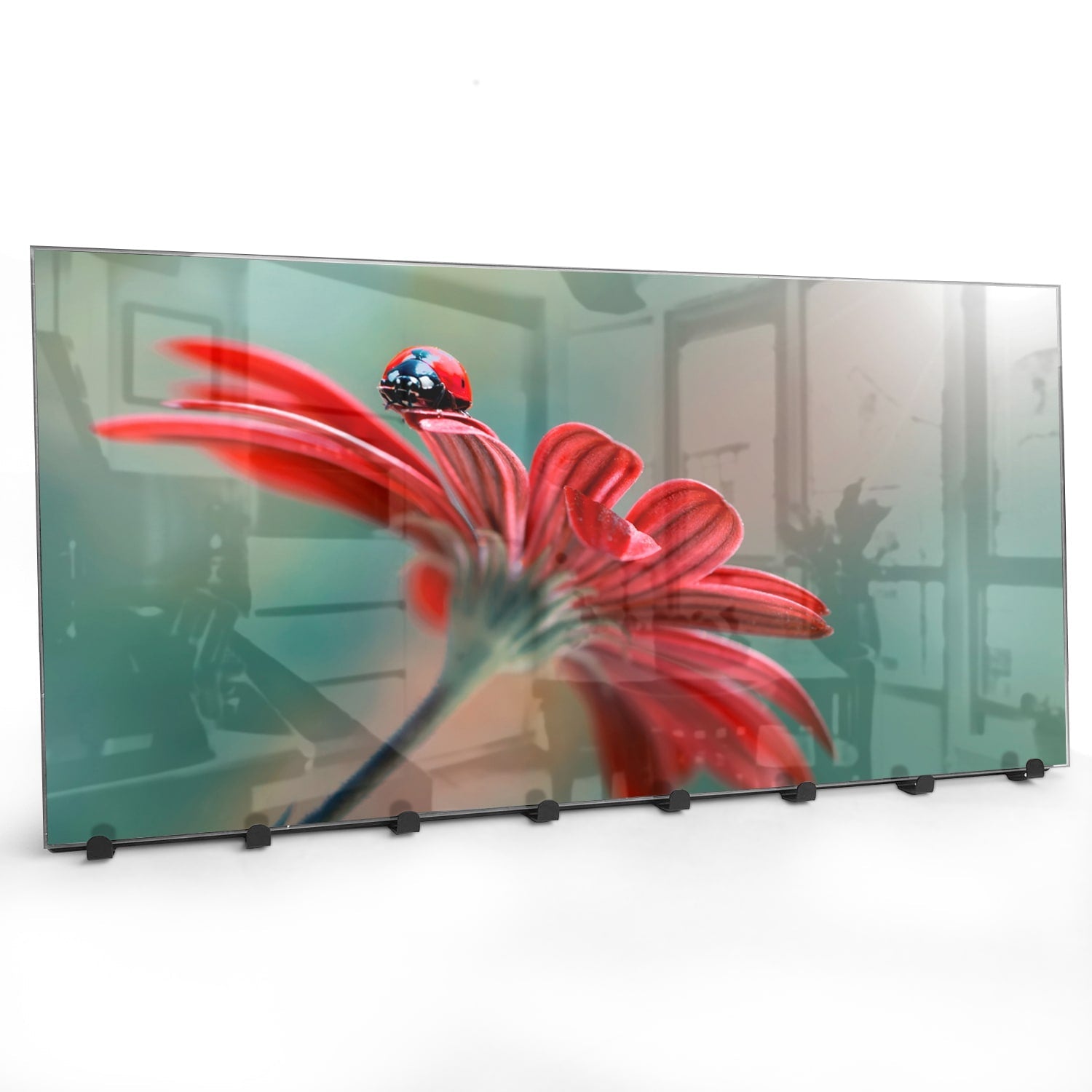 Kapstok - Gehard Glas - Lieveheersbeestje op Rode Bloem