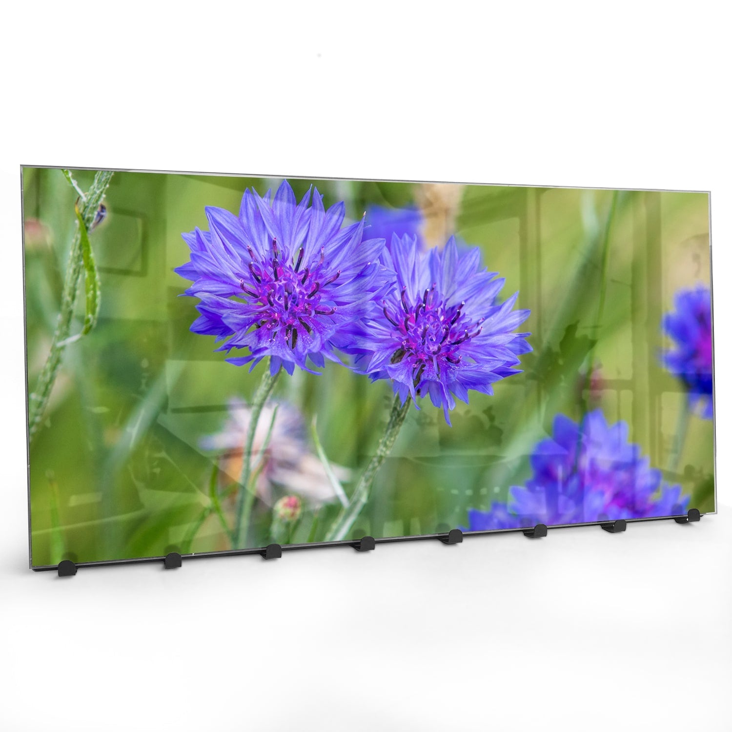 Kapstok - Gehard Glas - Felblauw/paarse Korenbloemen
