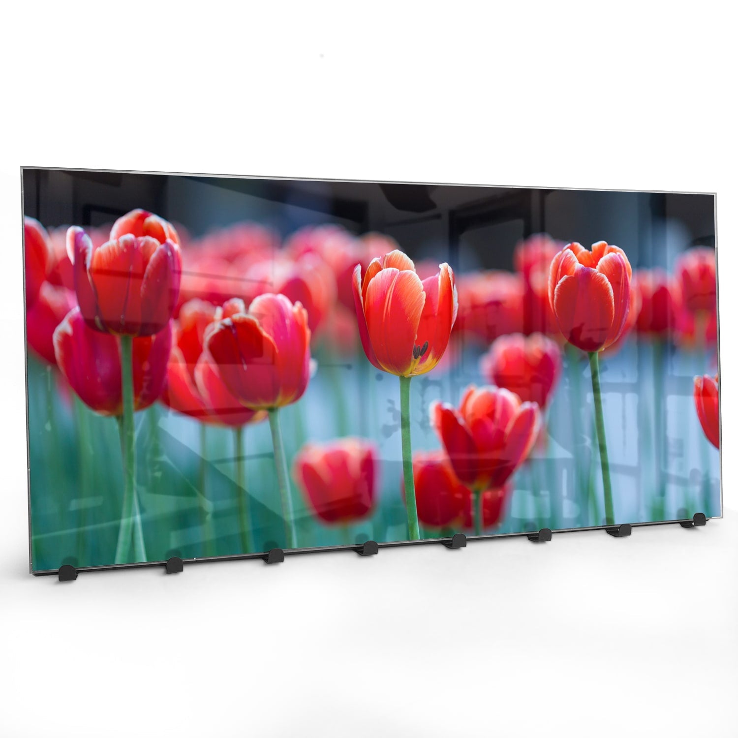 Kapstok - Gehard Glas - Rode Tulpen