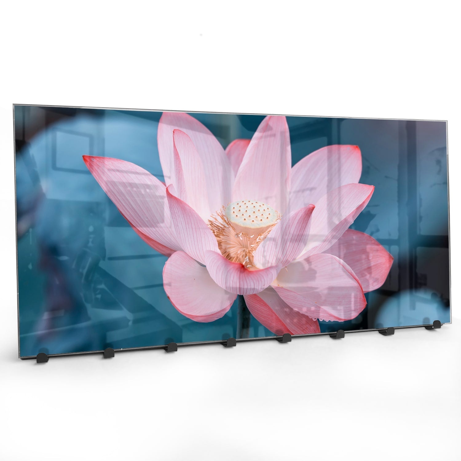 Kapstok - Gehard Glas - Lotus Bloem