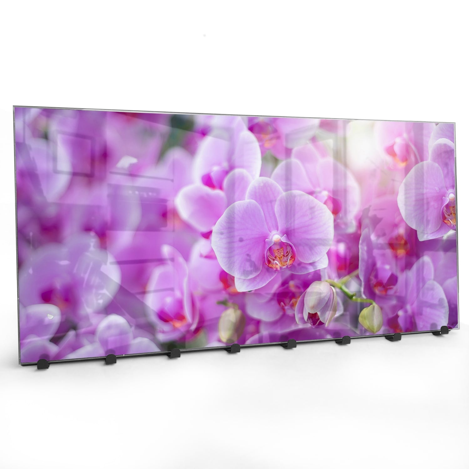 Kapstok - Gehard Glas - Stralende OrchideeÃ«n