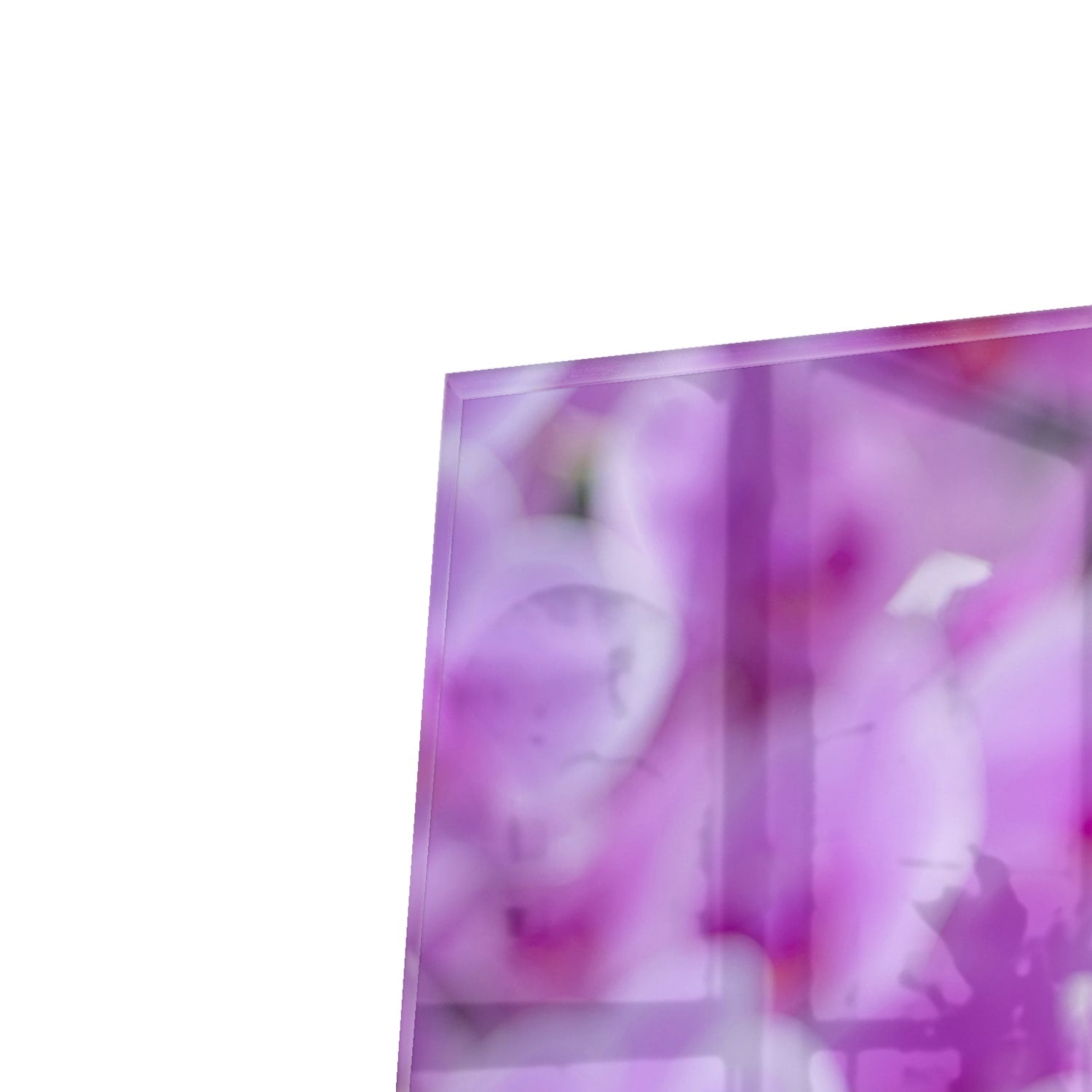 Kapstok - Gehard Glas - Stralende OrchideeÃ«n