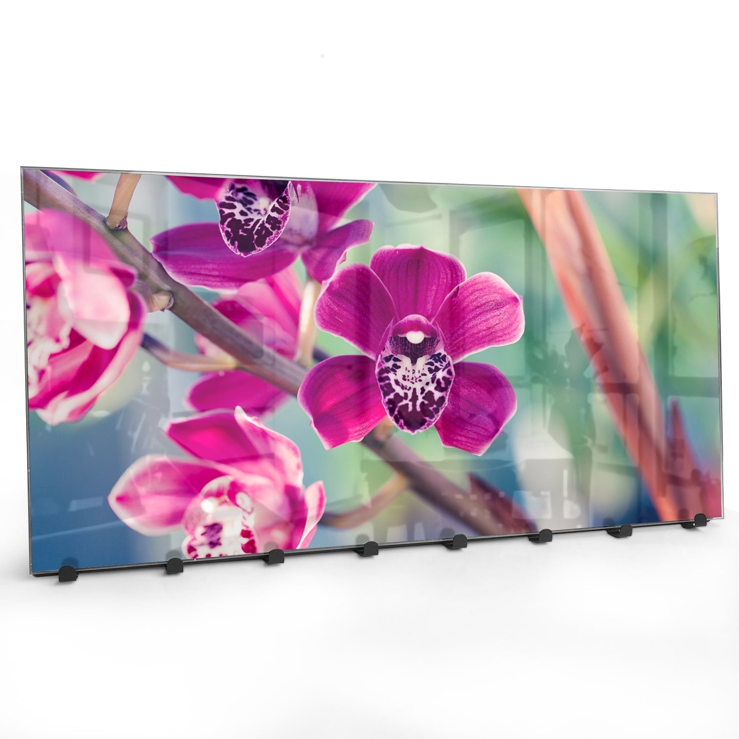 Kapstok - Gehard Glas - Vlinderorchidee