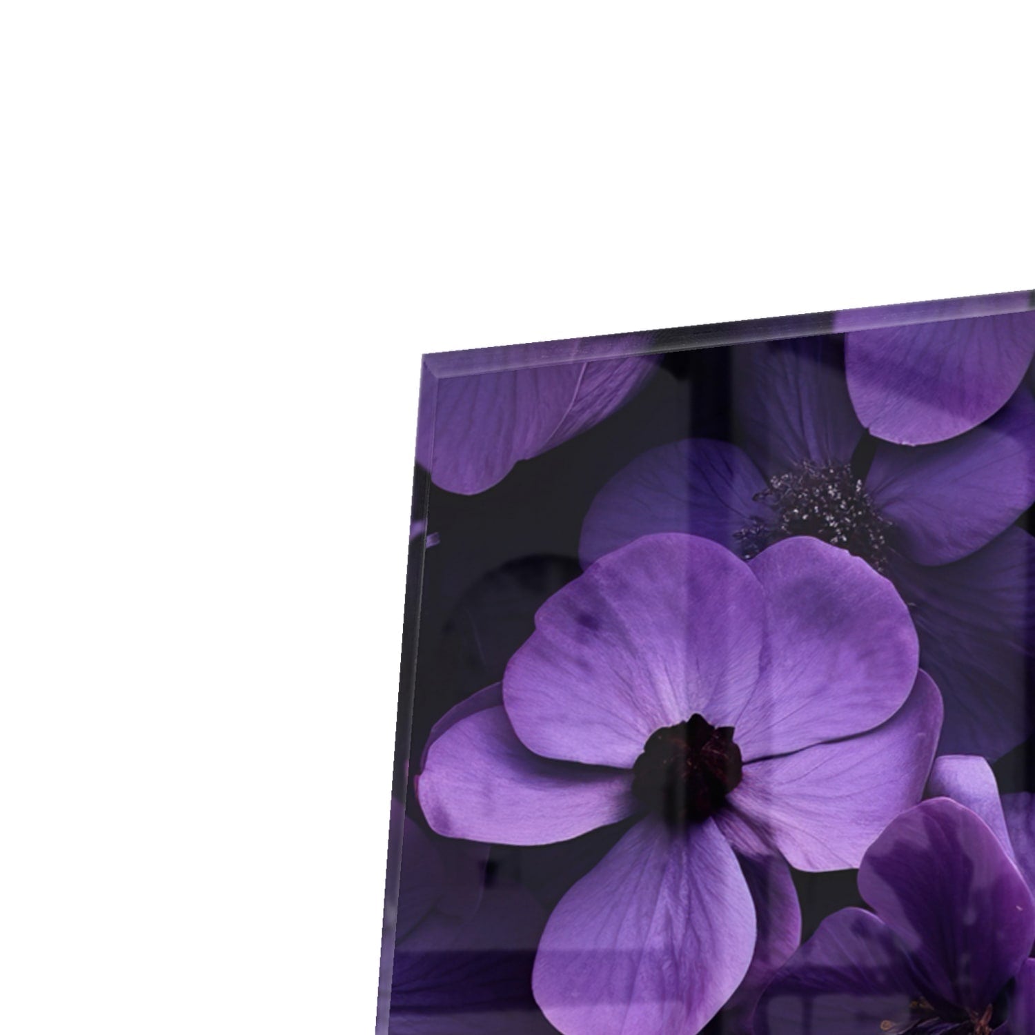 Kapstok - Gehard Glas - Paarse Bloemen