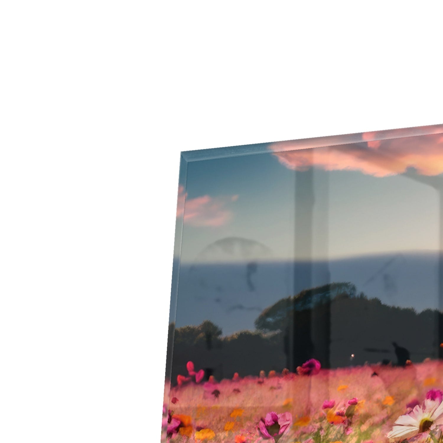 Kapstok - Gehard Glas - Zomerbloemen bij Zonsondergang