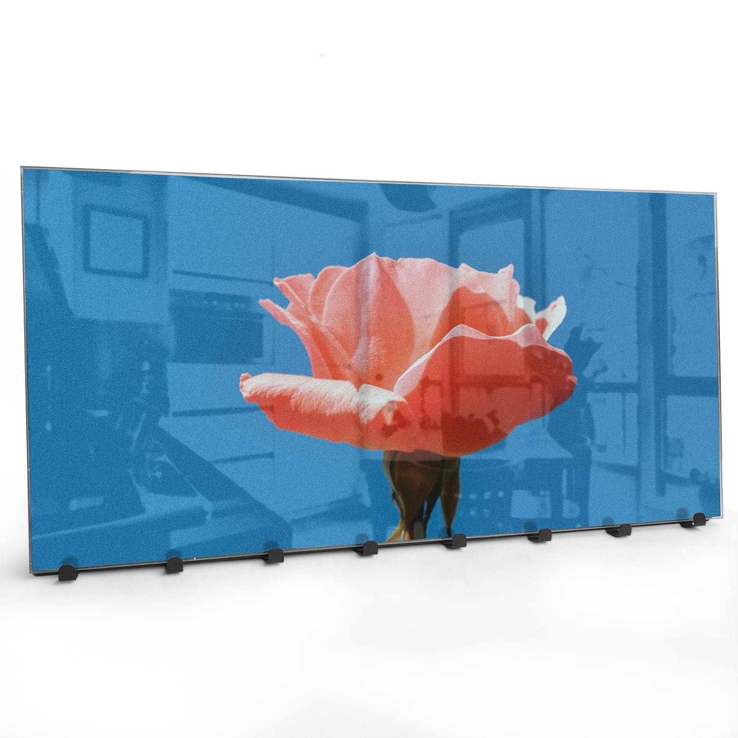 Kapstok - Gehard Glas - Roos met blauwe lucht