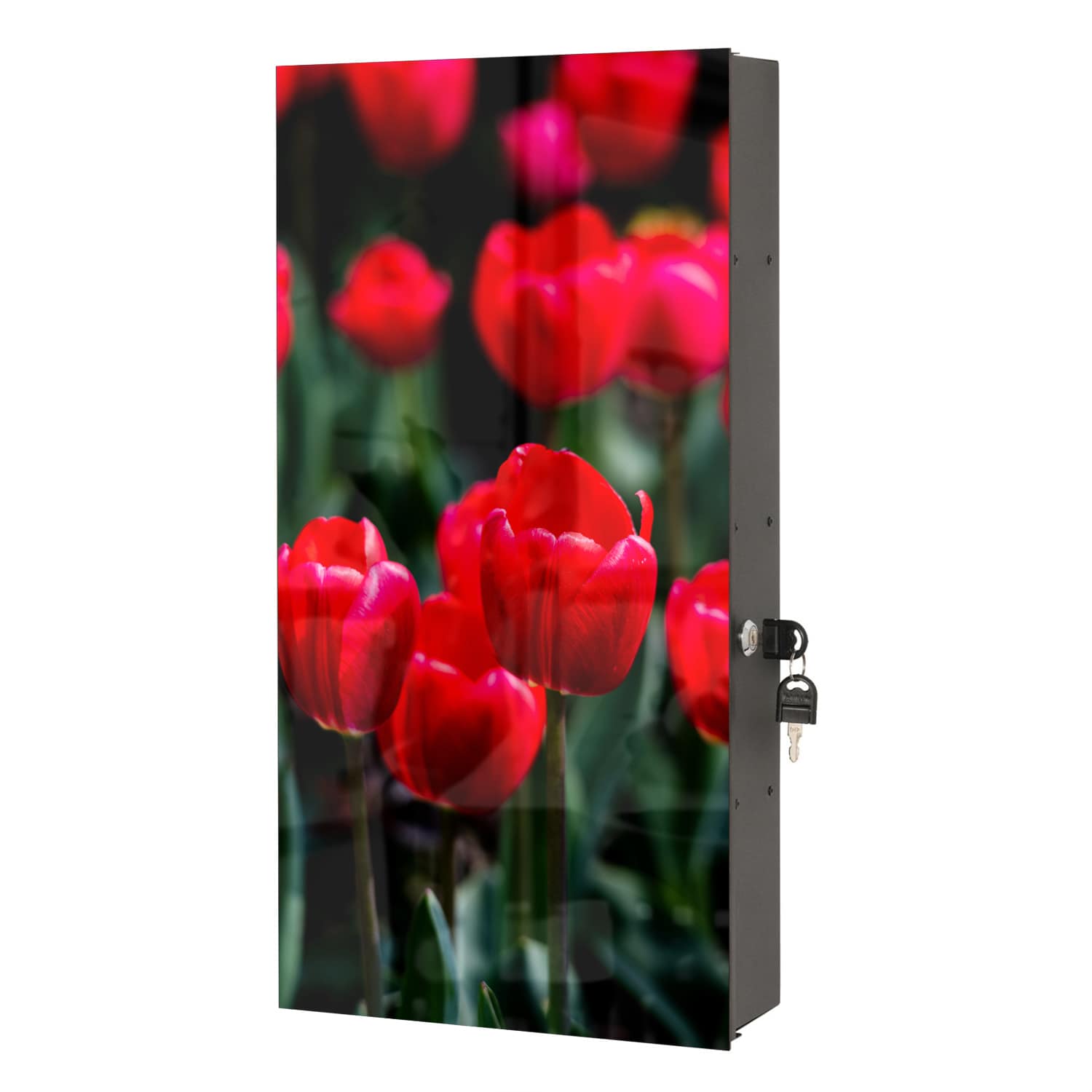 Medicijnkastje - Gehard Glas - Tulpen in het Veld