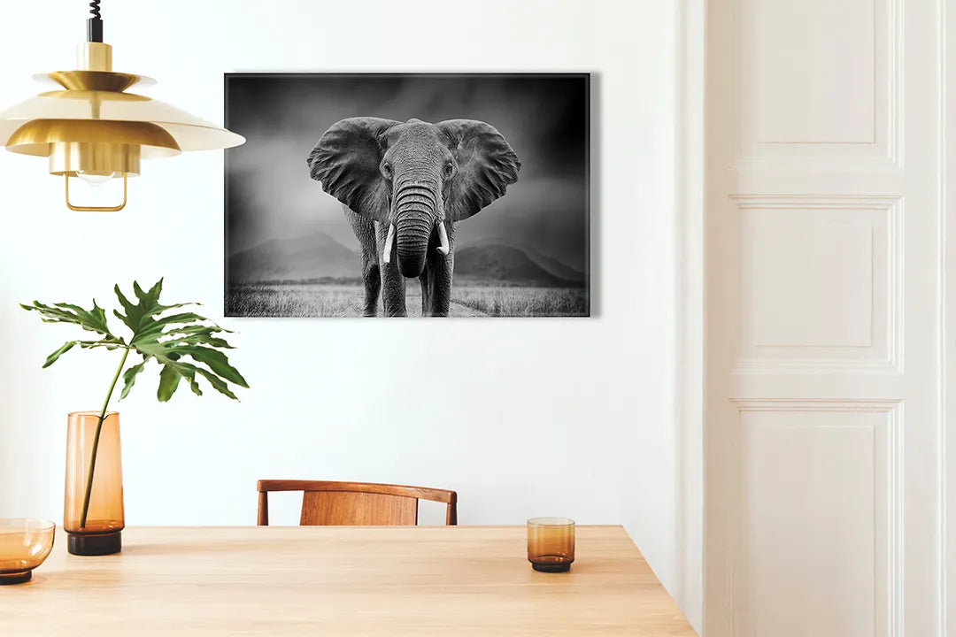 Kurkborden op canvas met zwart-wit olifantenportret – formaat 100 × 70 cm
