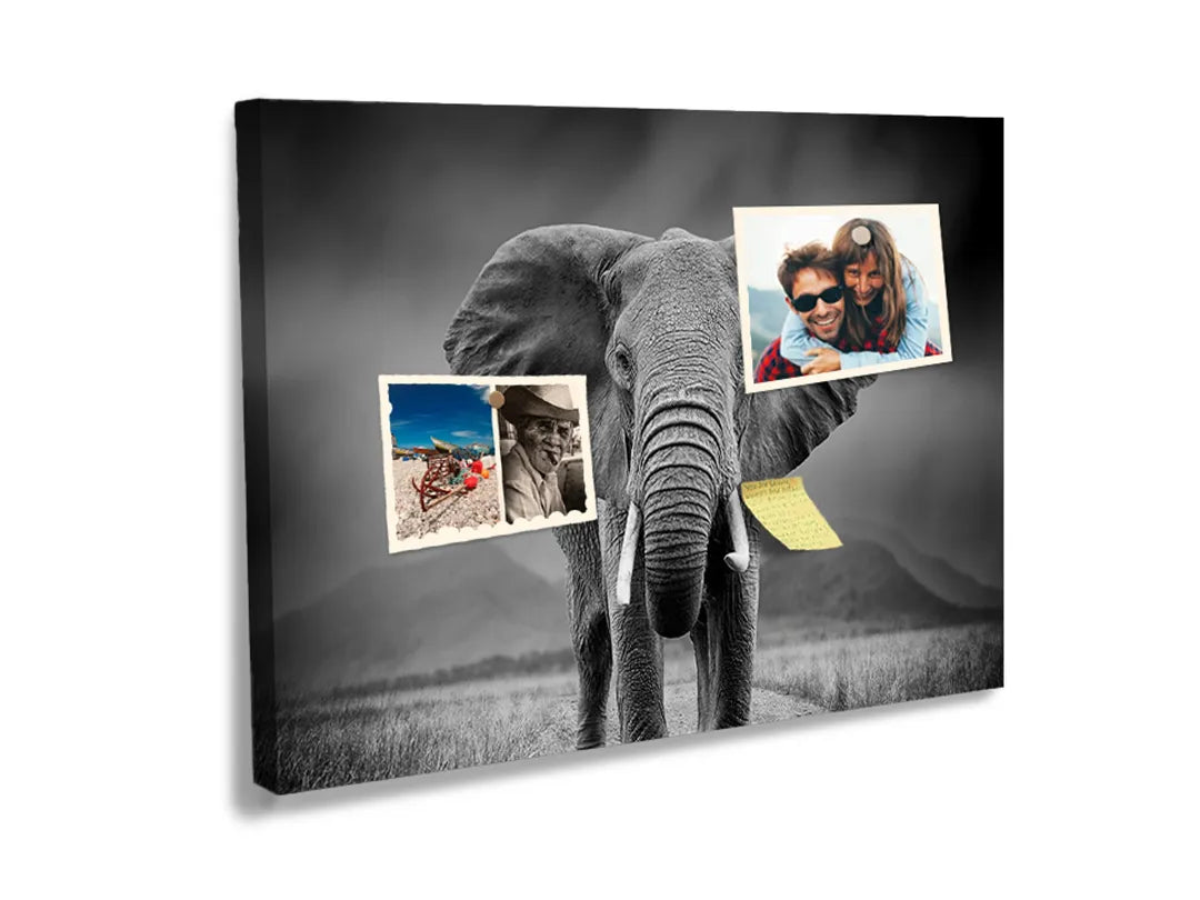 Kurkborden op canvas met zwart-wit olifantenportret – formaat 60 × 40 cm
