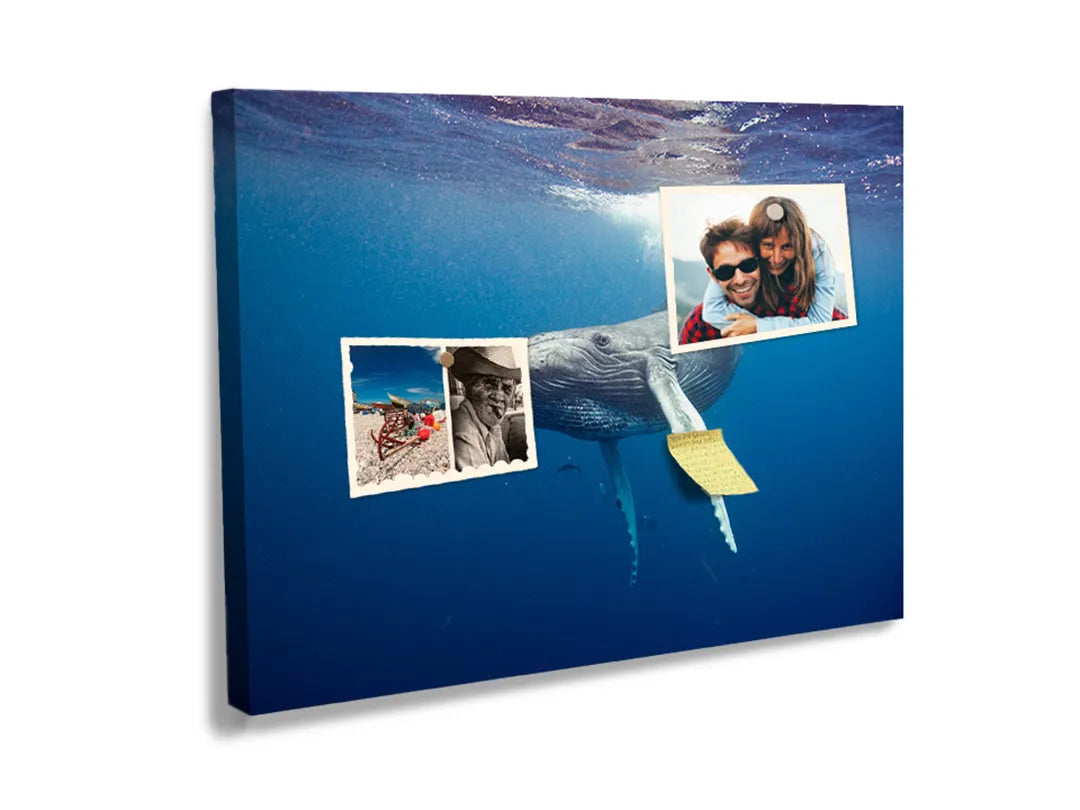 Kurkborden op canvas met walvis onder helder oceaanwater – formaat 60 × 40 cm