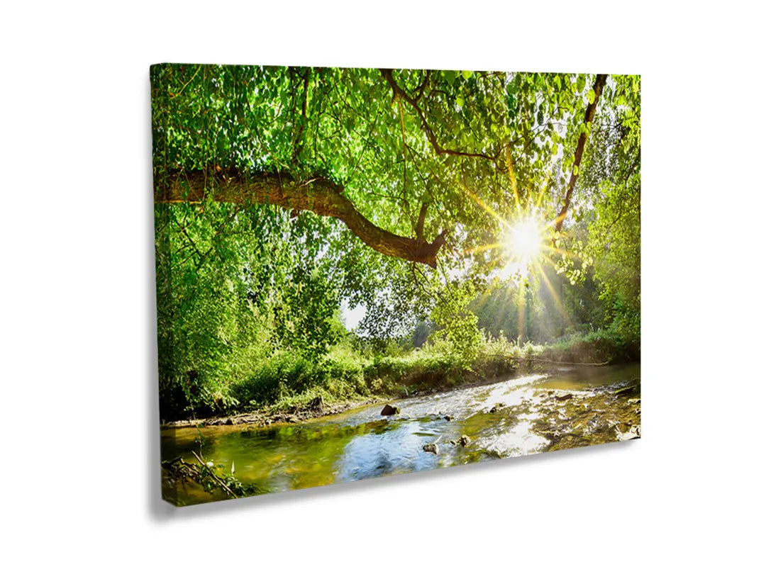 Kurkborden op canvas met bosbeek met zonnestralen – formaat 120 × 80 cm