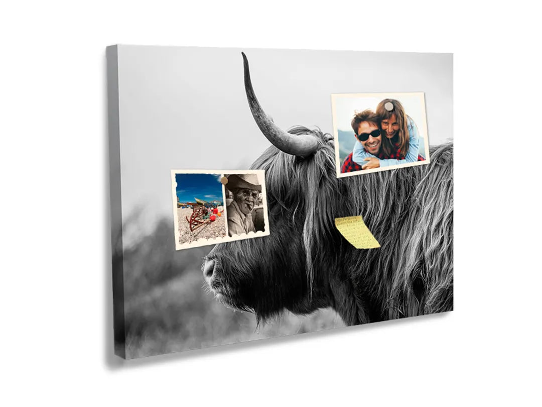 Kurkborden op canvas met zwart-wit schotse hooglander – formaat 60 × 40 cm
