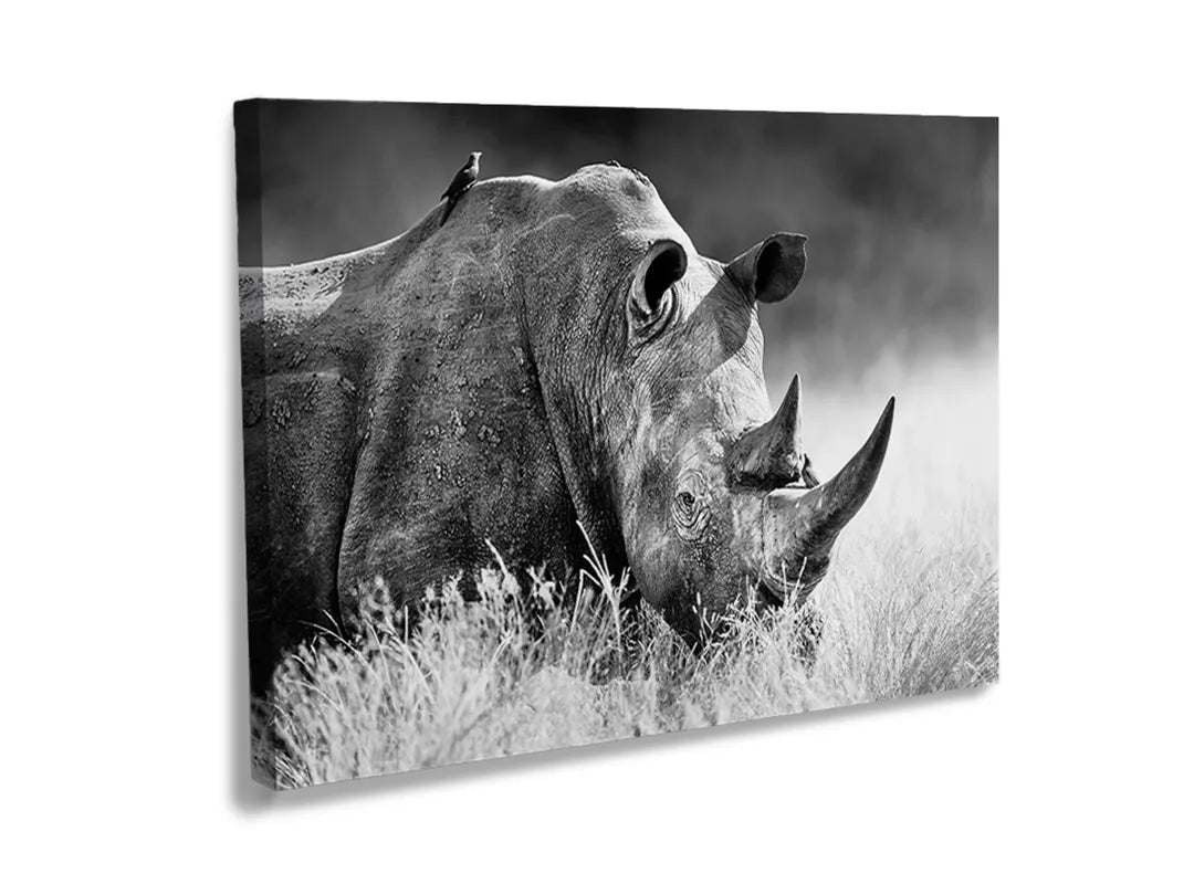 Kurkborden op canvas met zwart-wit neushoornportret – formaat 120 × 80 cm