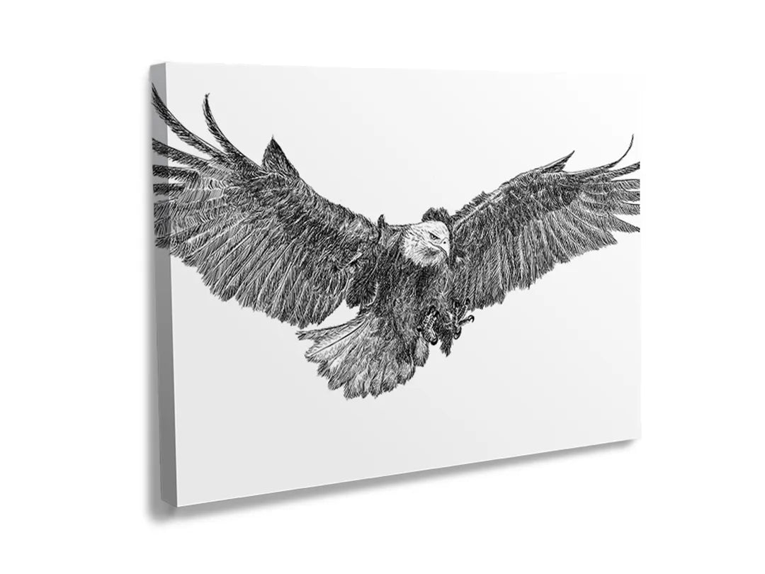 Kurkborden op canvas met zwart-witte adelaar met gespreide vleugels – formaat 120 × 80 cm