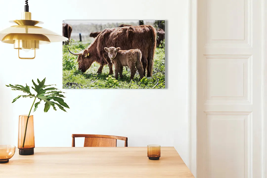 Kurkborden op canvas met schotse hooglander met kalf – formaat 100 × 70 cm