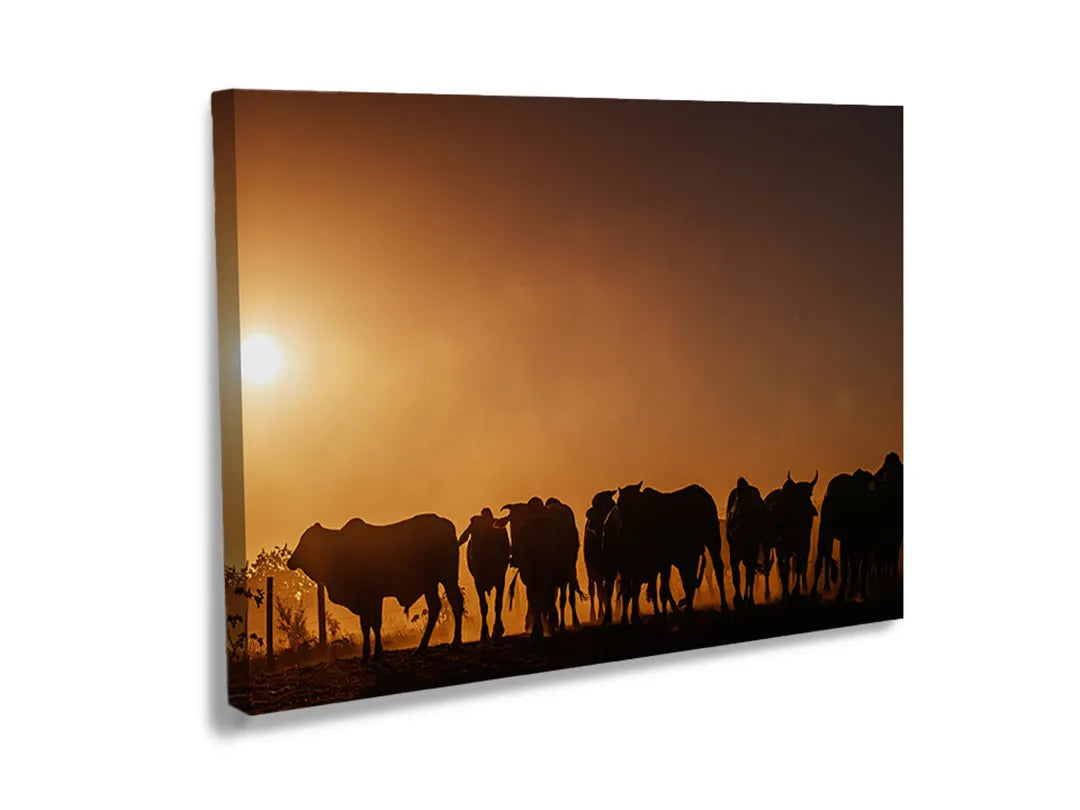 Kurkborden op canvas met olifanten bij zonsondergang – formaat 120 × 80 cm