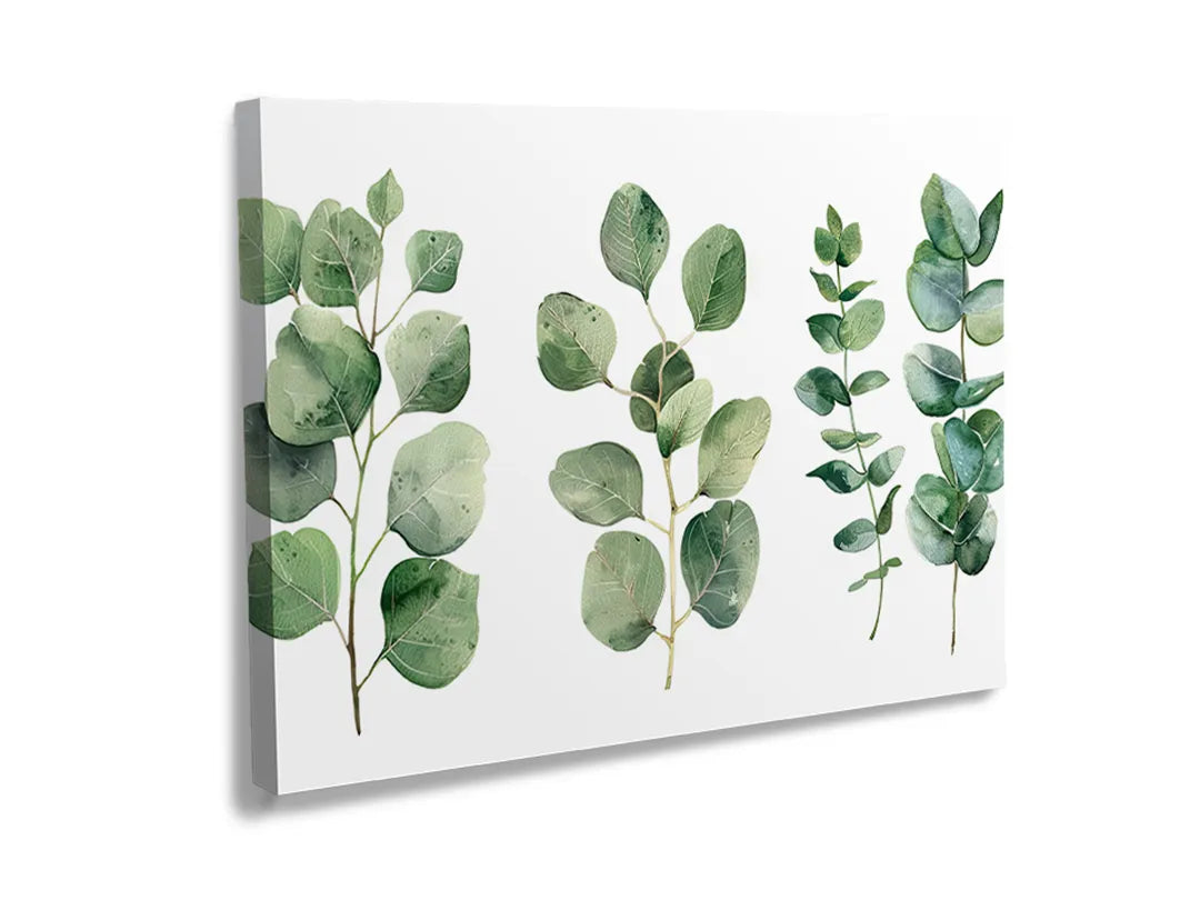 Kurkborden op canvas met eucalyptusbladeren op witte achtergrond – formaat 120 × 80 cm