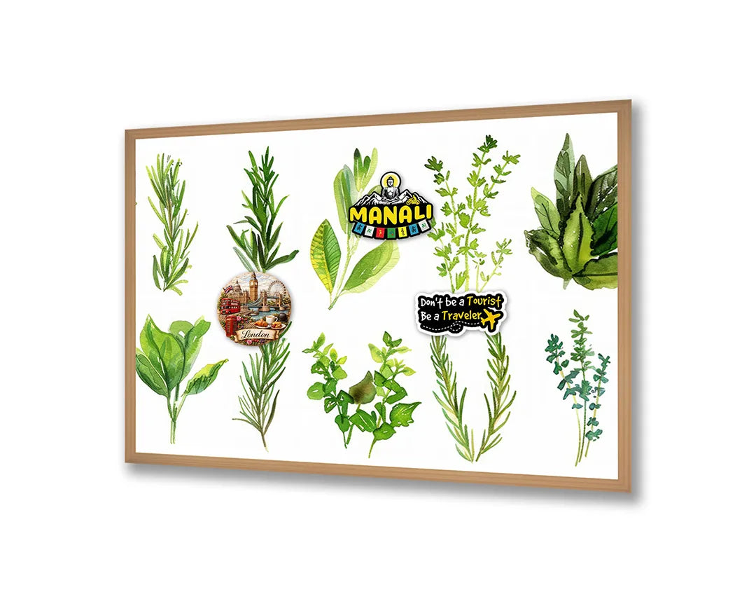 Metalen Magneetbord met hoogwaardige afbeelding van Groene kruiden set illustratie voor aan de muur