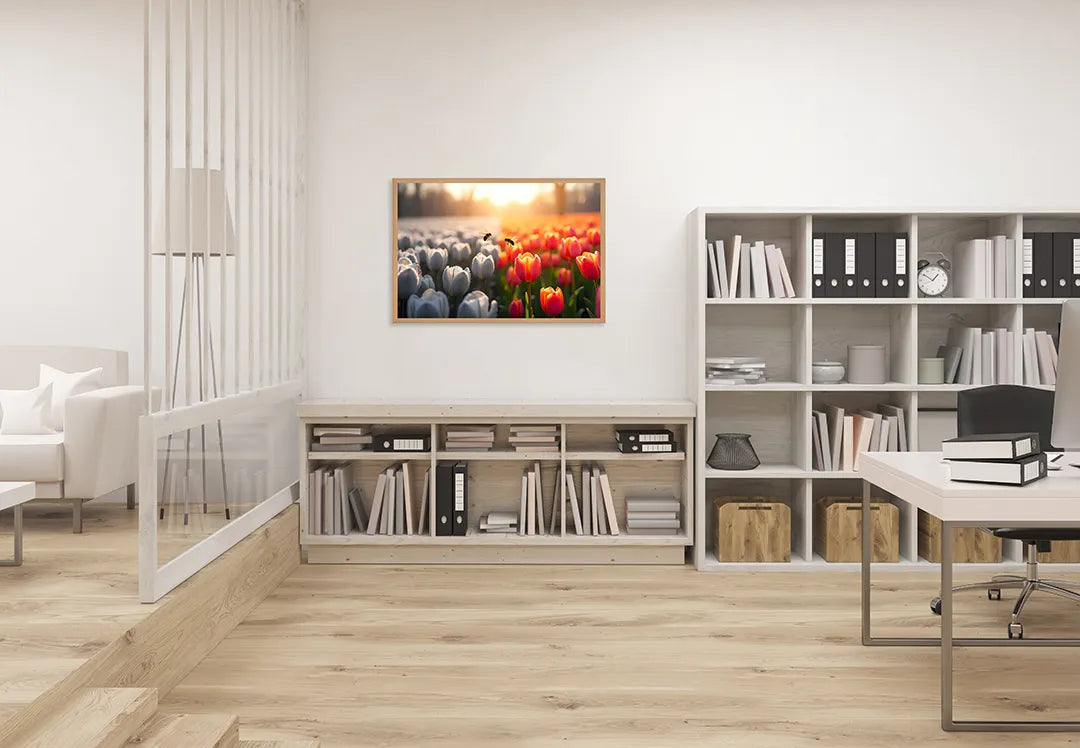 Metalen Magneetbord met hoogwaardige afbeelding van Tulpenveld wit rood zonsondergang voor aan de muur