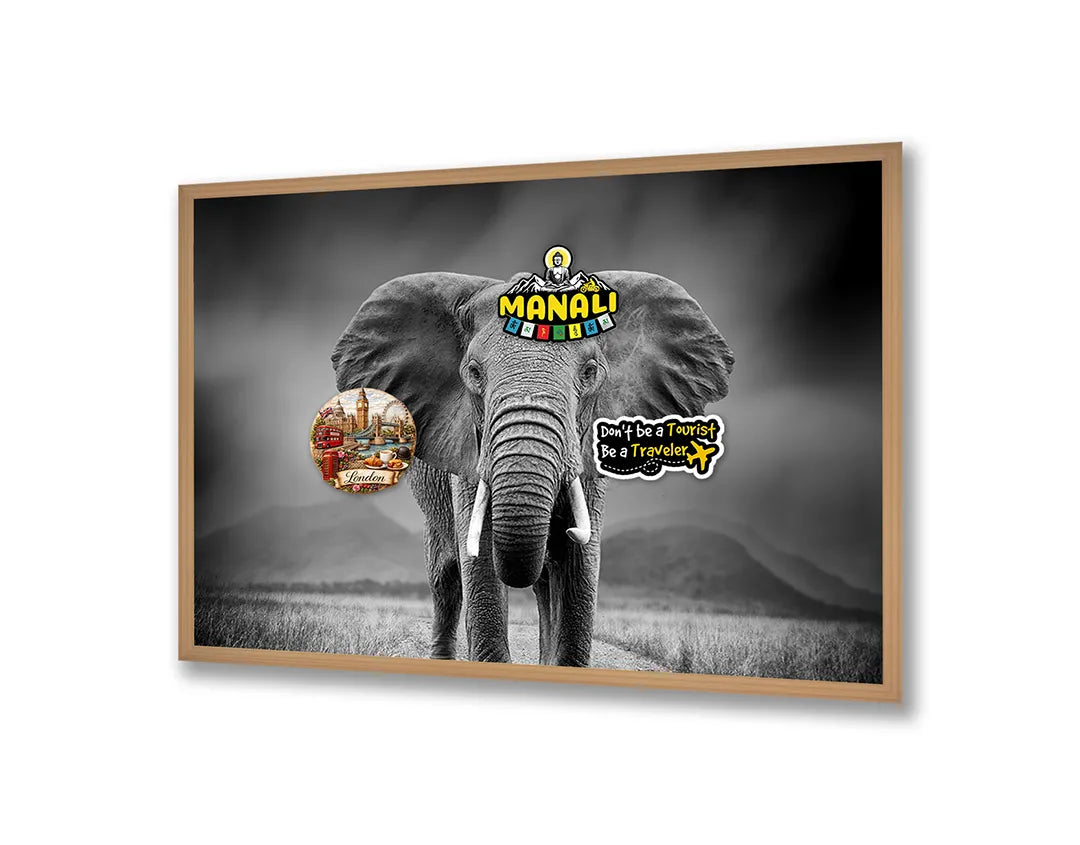 Metalen Magneetbord met afbeelding van portret van een olifant in zwart-wit kleuren
