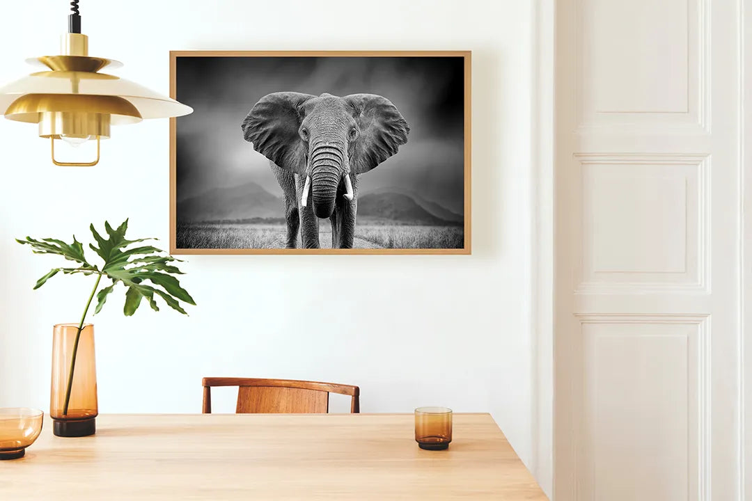 Metalen Magneetbord met afbeelding van portret van een olifant in zwart-wit kleuren