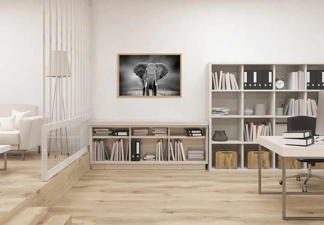 Metalen Magneetbord met afbeelding van portret van een olifant in zwart-wit kleuren