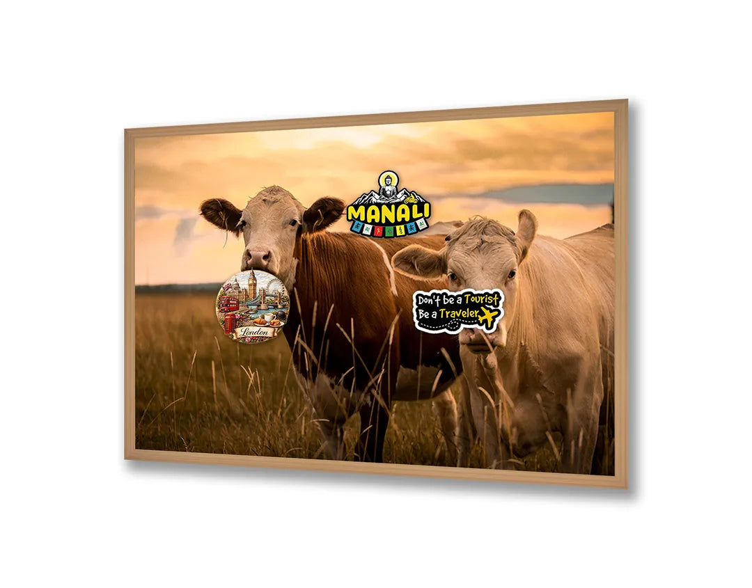Metalen Magneetbord met afbeelding van twee koeien in de weide in natuurlijke buitenkleuren kleuren