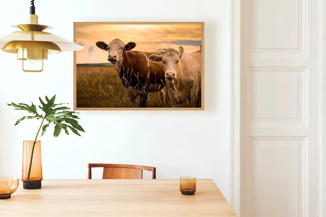 Metalen Magneetbord met afbeelding van twee koeien in de weide in natuurlijke buitenkleuren kleuren