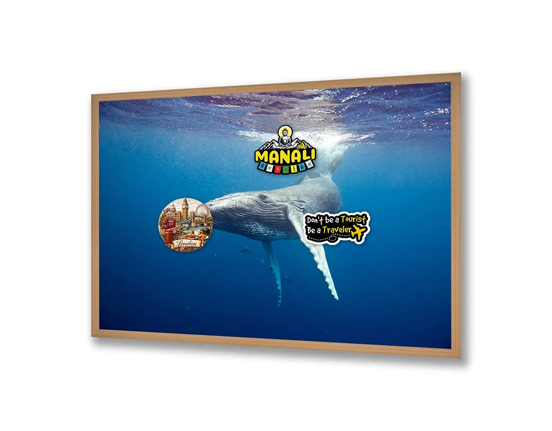 Metalen Magneetbord met afbeelding van walvisstaart onder water in diep oceaanblauw kleuren