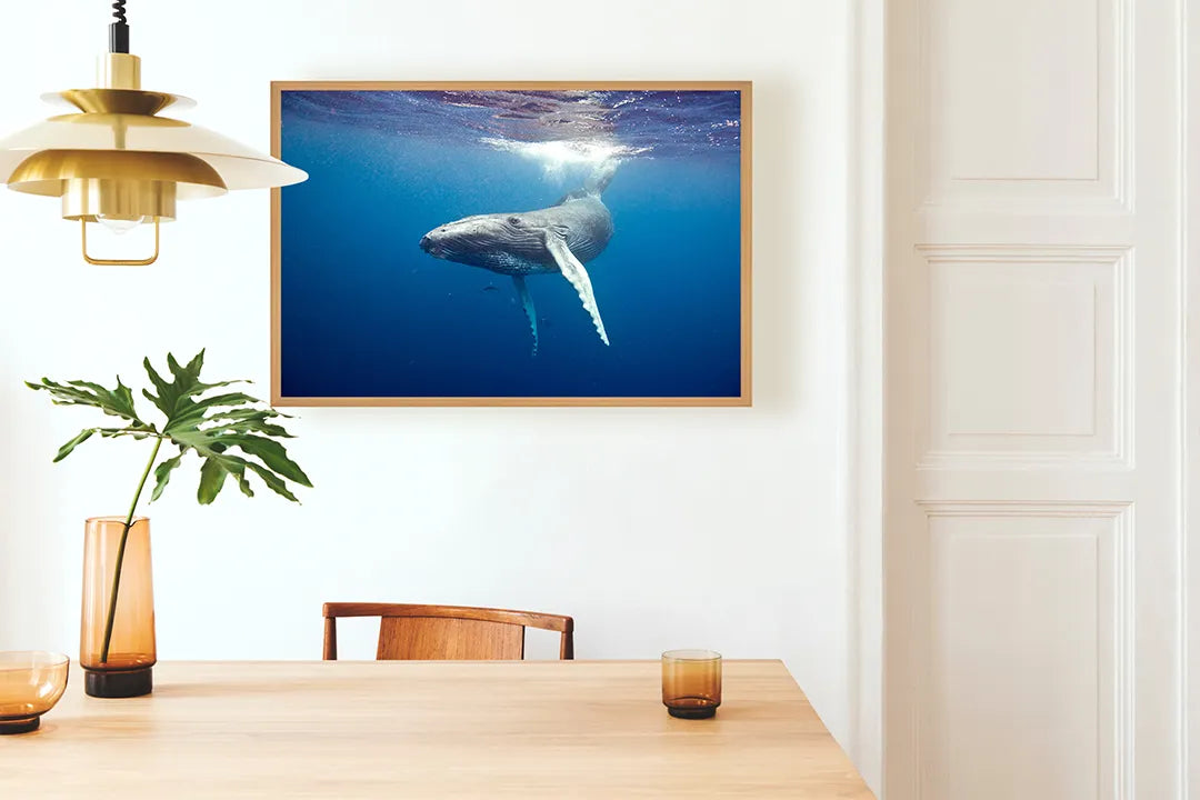 Metalen Magneetbord met afbeelding van walvisstaart onder water in diep oceaanblauw kleuren