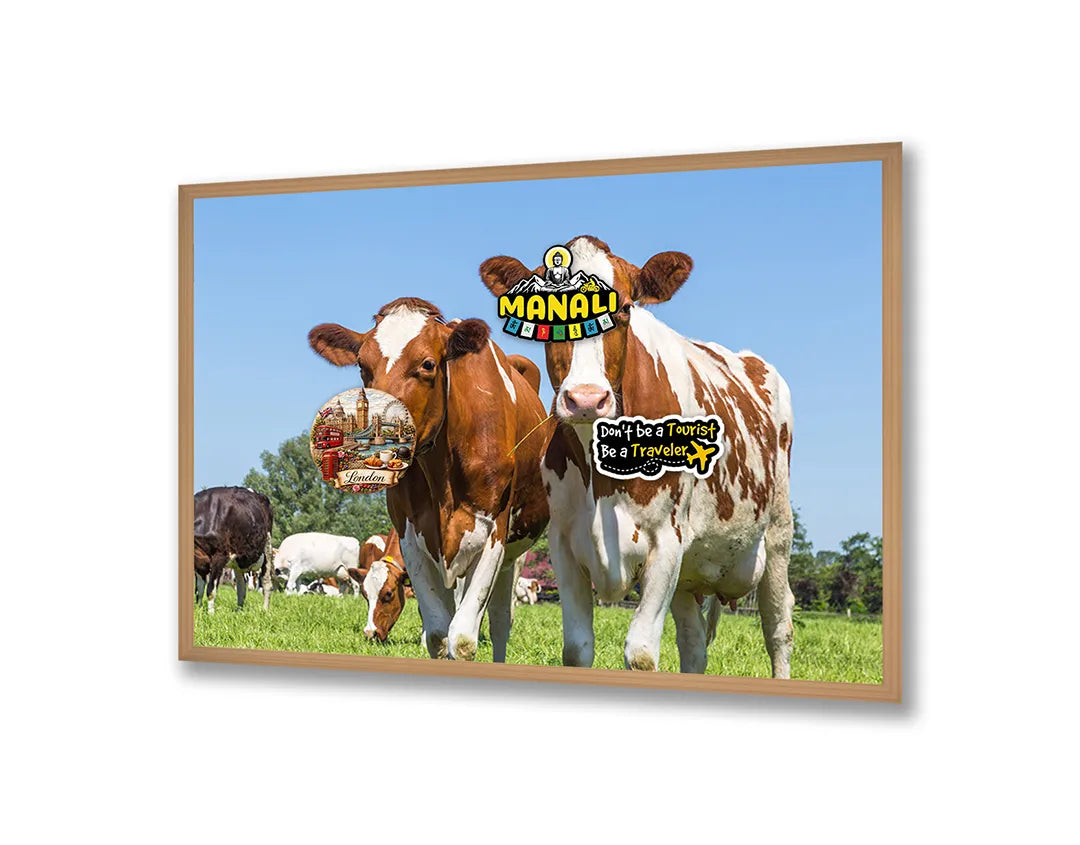 Metalen Magneetbord met afbeelding van bruine koeien in groen grasland in landelijk groen en bruin kleuren