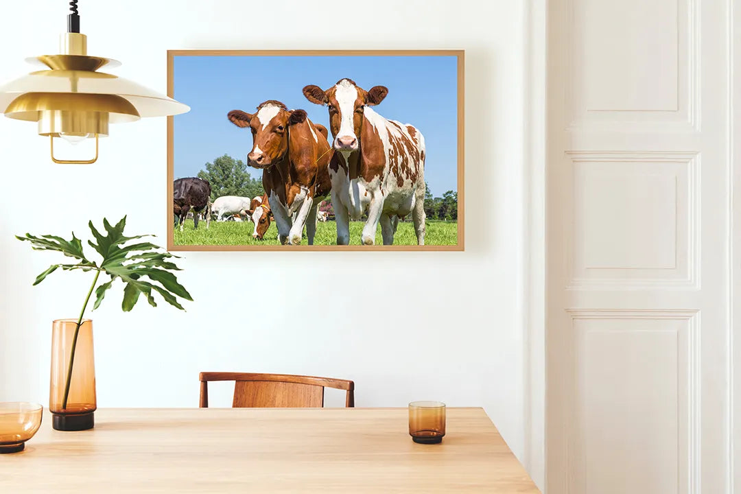 Metalen Magneetbord met afbeelding van bruine koeien in groen grasland in landelijk groen en bruin kleuren