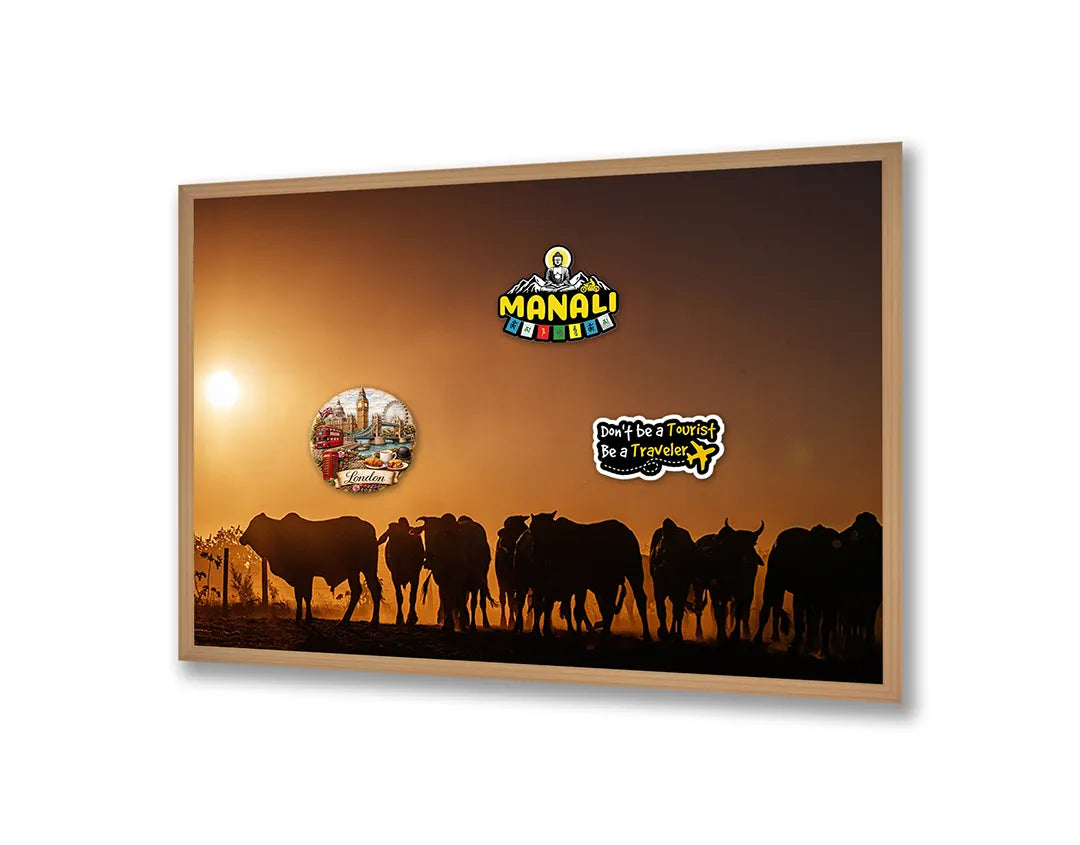 Metalen Magneetbord met print van Koeien silhouet zonsondergang perfect als decoratie