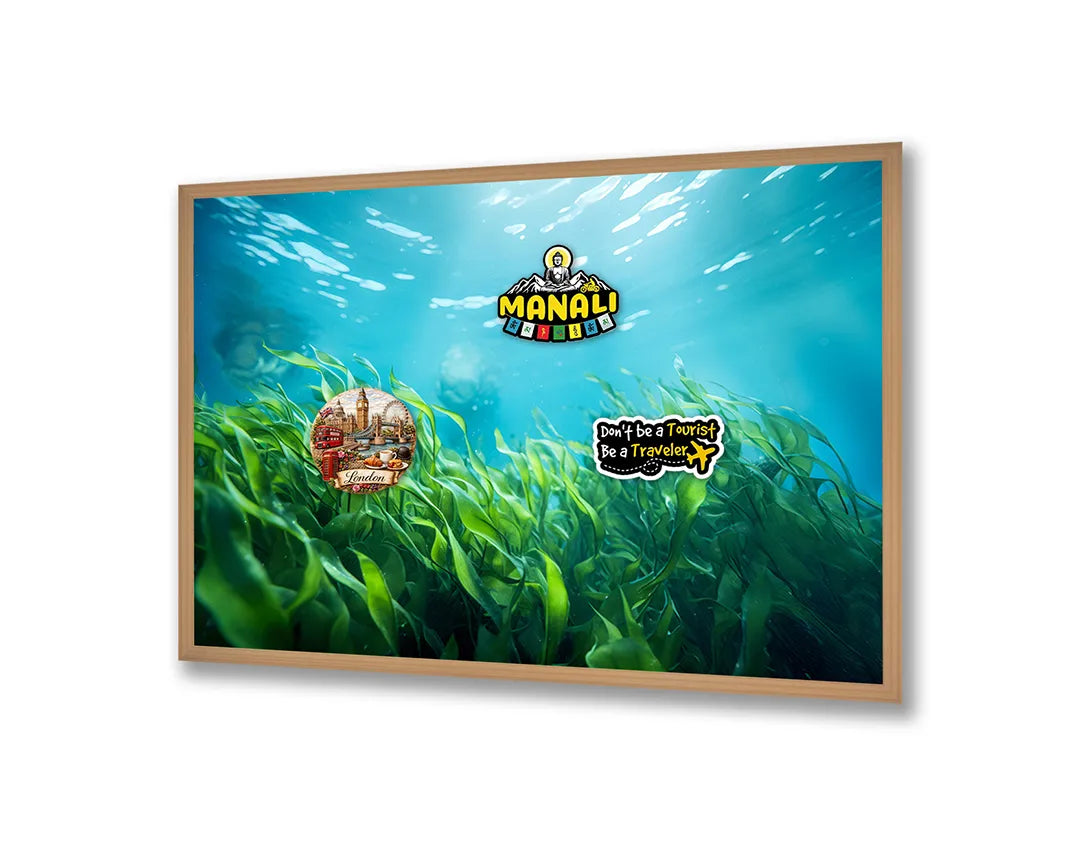Metalen Magneetbord met print van Groene bladeren onderwater perfect als decoratie