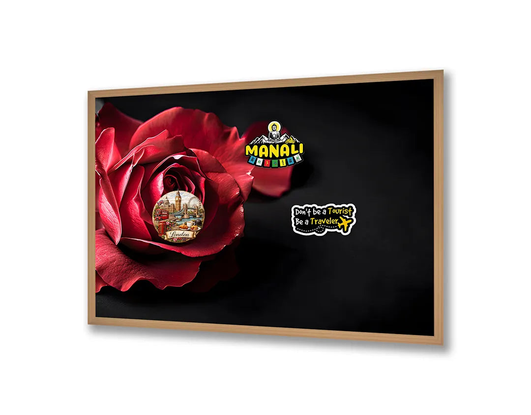Metalen Magneetbord met print van Rode roos op zwart perfect als decoratie