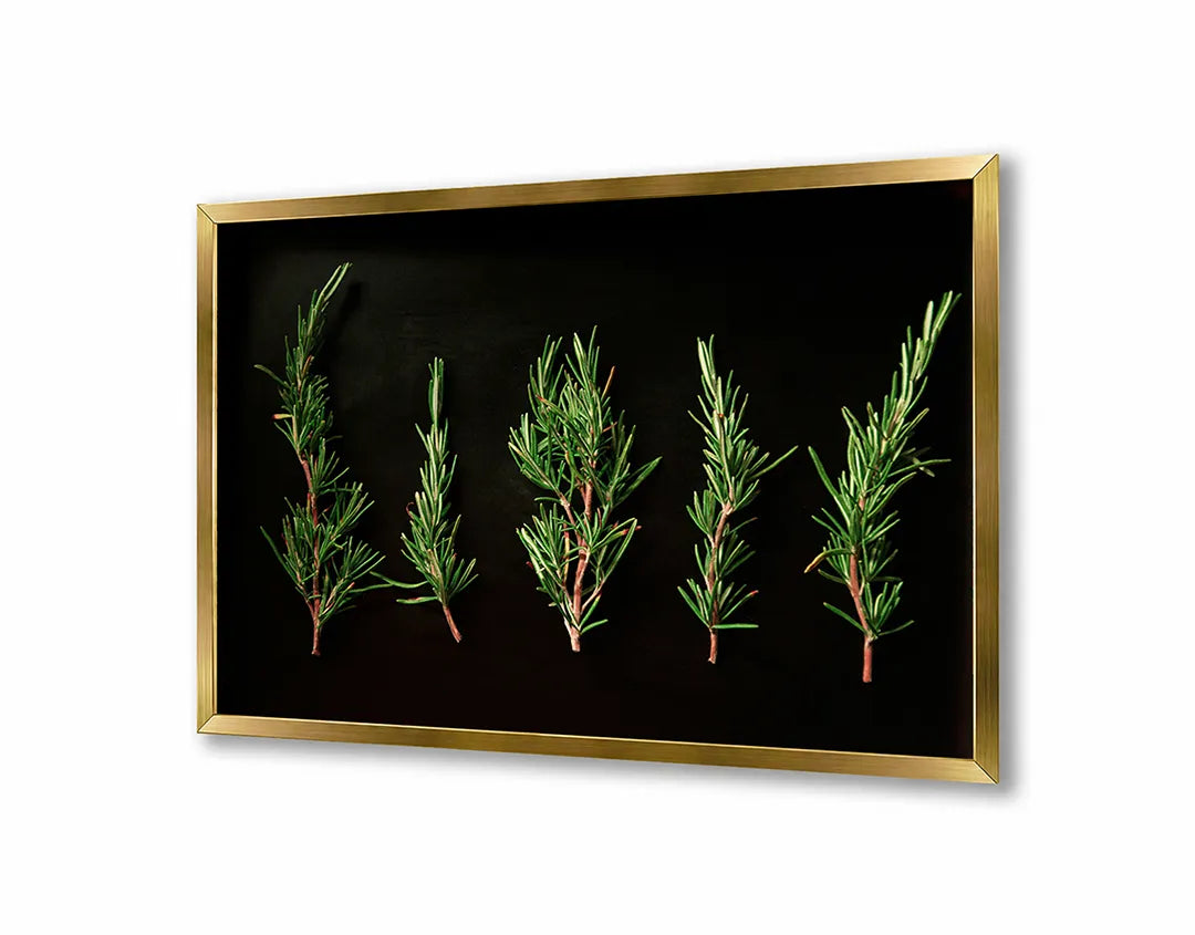Metalen magneetbord met print en lijst | Rozemarijn op Zwarte Achtergrond