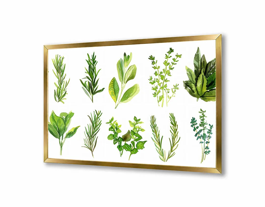 Metalen Magneetbord met hoogwaardige afbeelding van Groene kruiden set illustratie voor aan de muur