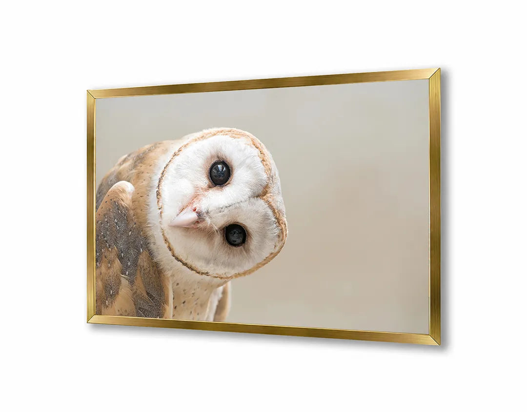 Metalen Magneetbord met afbeelding van kerkuil gezicht in zacht wit en bruin kleuren