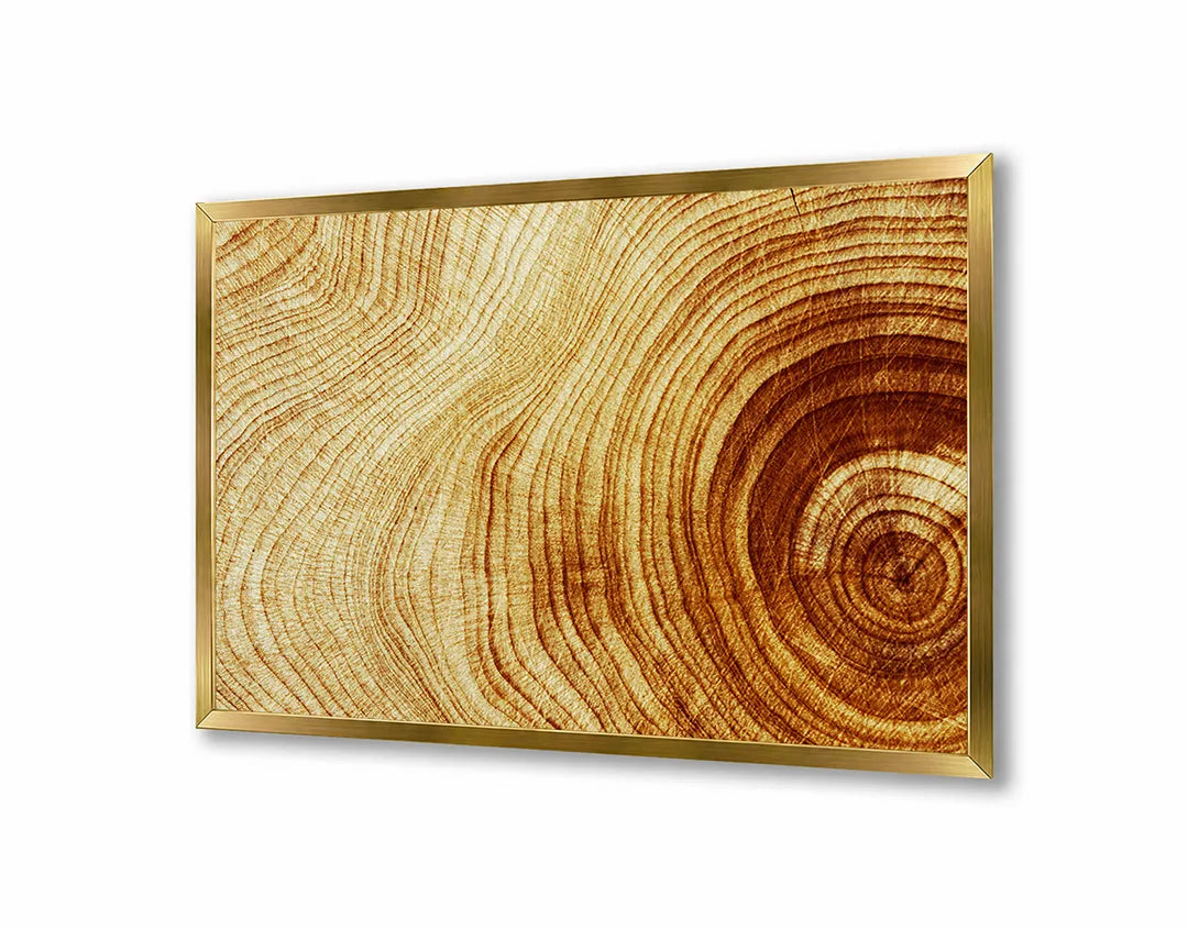 Metalen Magneetbord met hoogwaardige afbeelding van Boomstam doorsnede ringen hout voor aan de muur